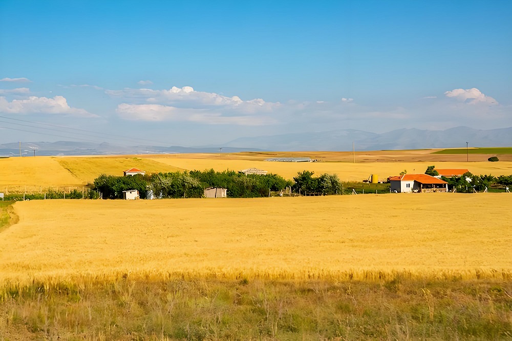 空枝课----半生任教育后人